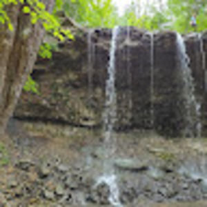 Meet your Posher, Simon